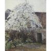 Tarkhoff, arbre en fleurs, maison, Тархов, цветущее дерево, дом, flowering tree, house, blühender baum, haus,