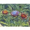 Artichoke flowers, Fleurs d'artichauts, jardin, Orsay, Tarkhoff, Артишок цветы, сад, Орсай, Тархов,