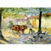 Cour de ferme. bœufs, canard, Périgord, oies_Farmyard. oxen, duck, Périgord, geese, Подворье. быки, утка, Перигор, гуси  